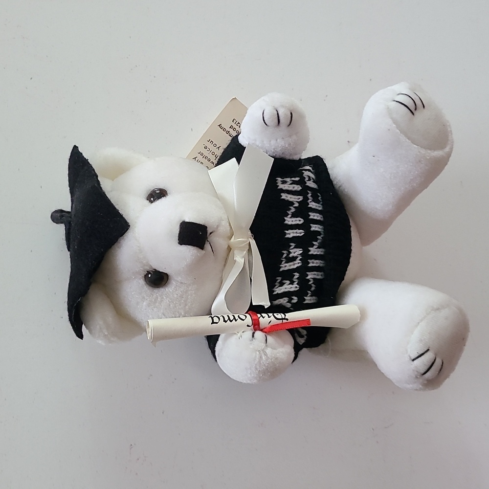 Regina Dominican Graduation Bear